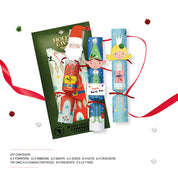 Make your own crackers - Christmas characters set of 6