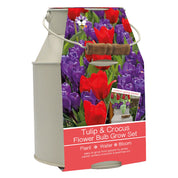 Tulip & Crocus Bulb Milk Churn