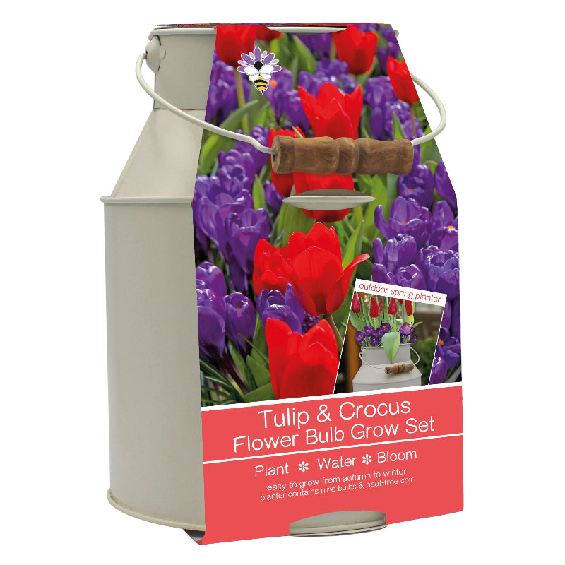 Tulip & Crocus Bulb Milk Churn