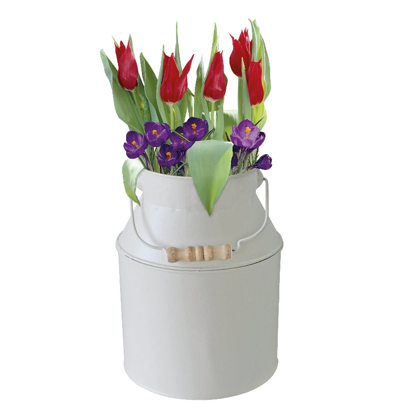 Tulip & Crocus Bulb Milk Churn