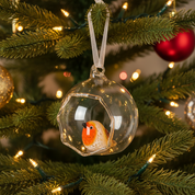 Open Glass Bauble With Robin