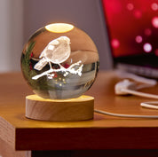 3D Etched Glass Ball light with Robin