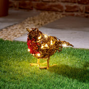 Outdoor Light up Robin
