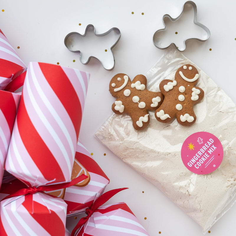 Gingerbread Cookie Crackers (6pcs)