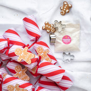 Gingerbread Cookie Crackers (6pcs)