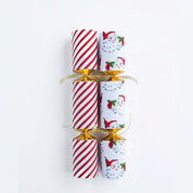 Stripy santa festive crackers (12pcs)