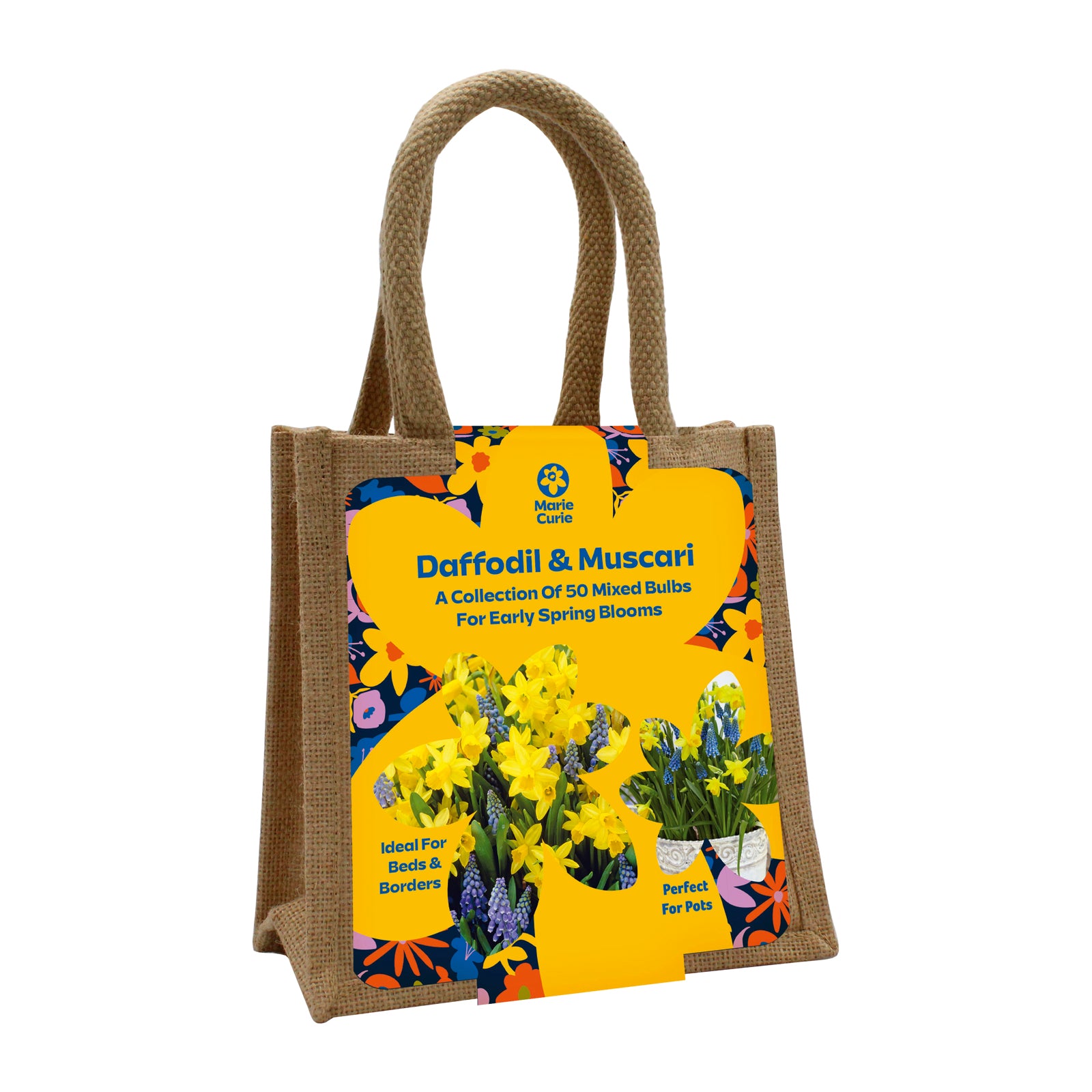 Daffodil and Muscari 50 bulb bag