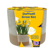 Daffodil Grow Set with Ceramic Pot