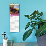 2027 Coast & Countryside National Trust Slim Calendar