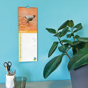 2027 Birds RSPB Slim Calendar