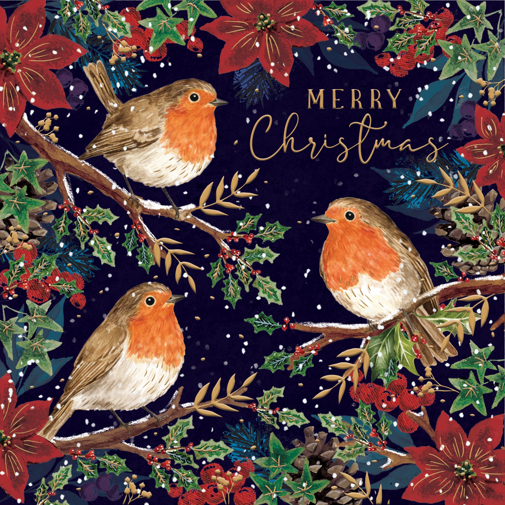 Robin and Berries  Christmas Cards - 10 Pack