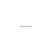 Robin and Berries  Christmas Cards - 10 Pack