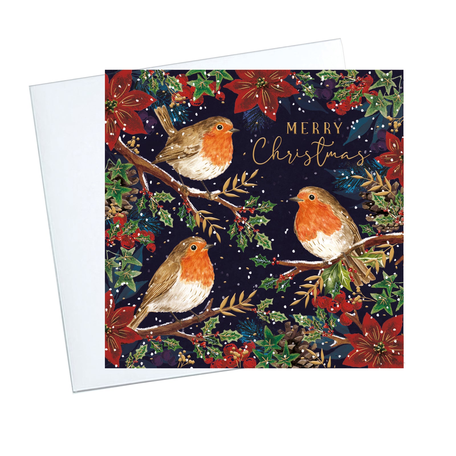 Robin and Berries  Christmas Cards - 10 Pack