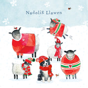 Welsh Christmas sheep Christmas Cards - 10 Pack