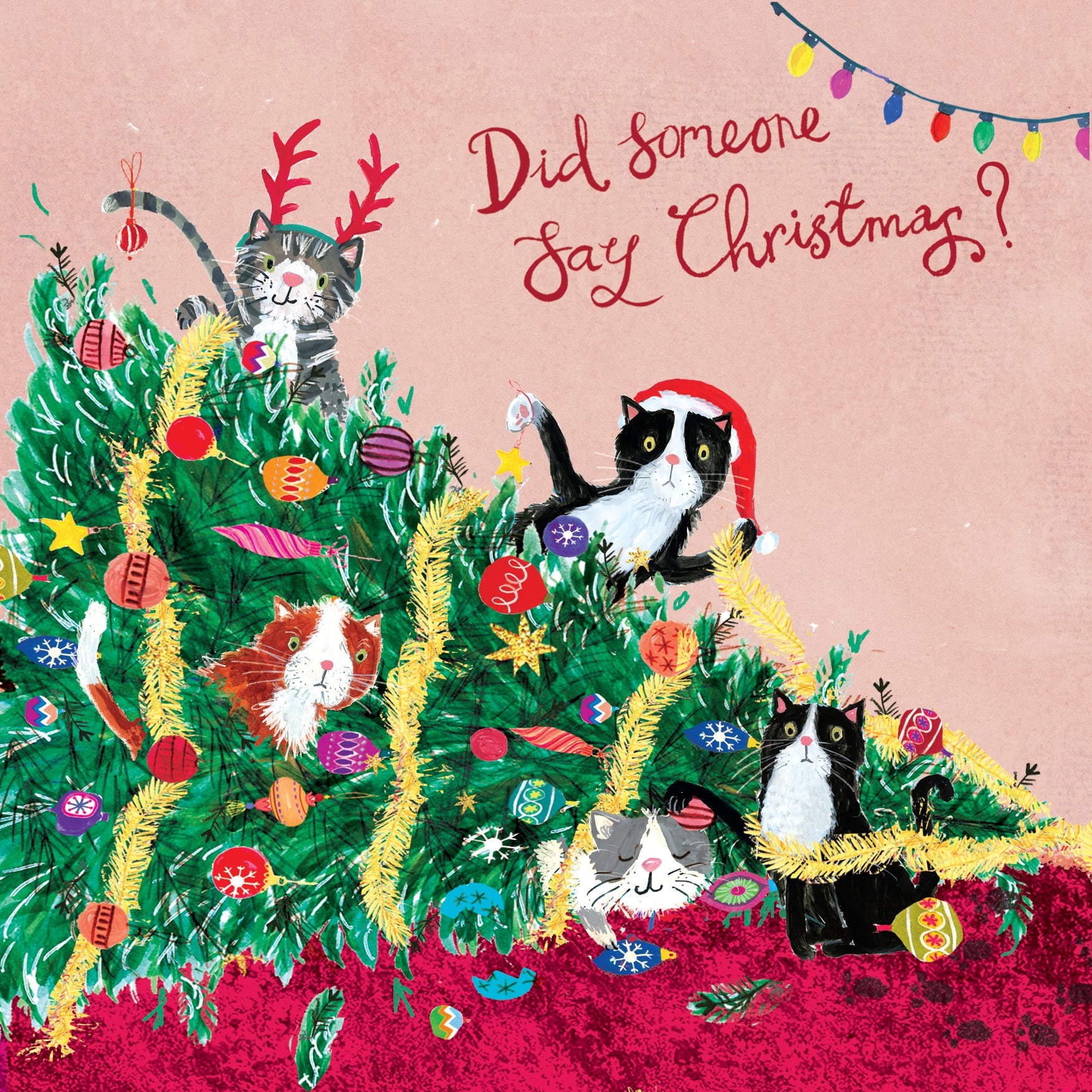 Christmas Cats Christmas Cards - 10 Pack