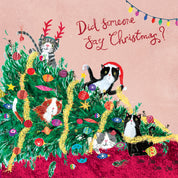 Christmas Cats Christmas Cards - 10 Pack