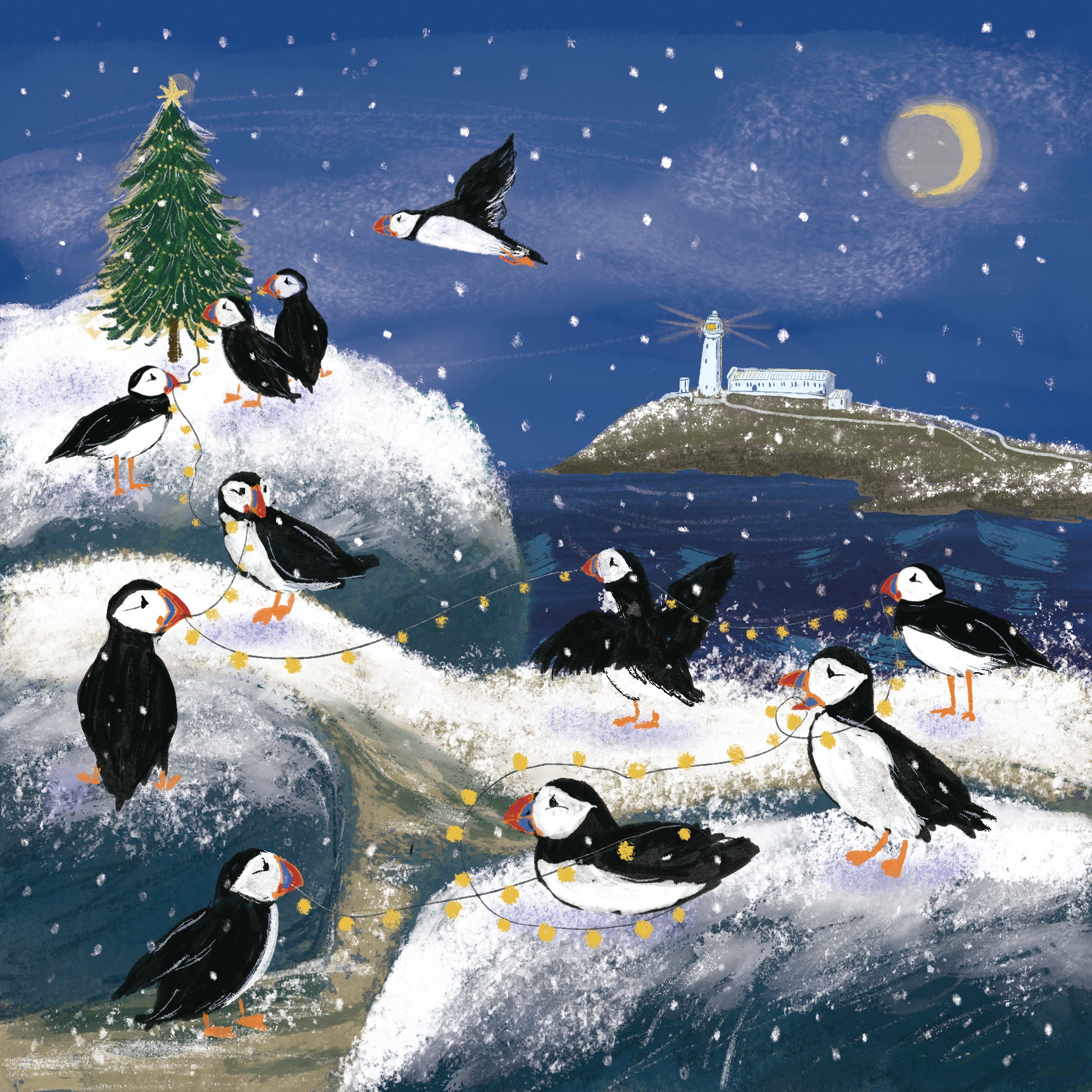 Puffin Island Christmas Cards - 10 Pack
