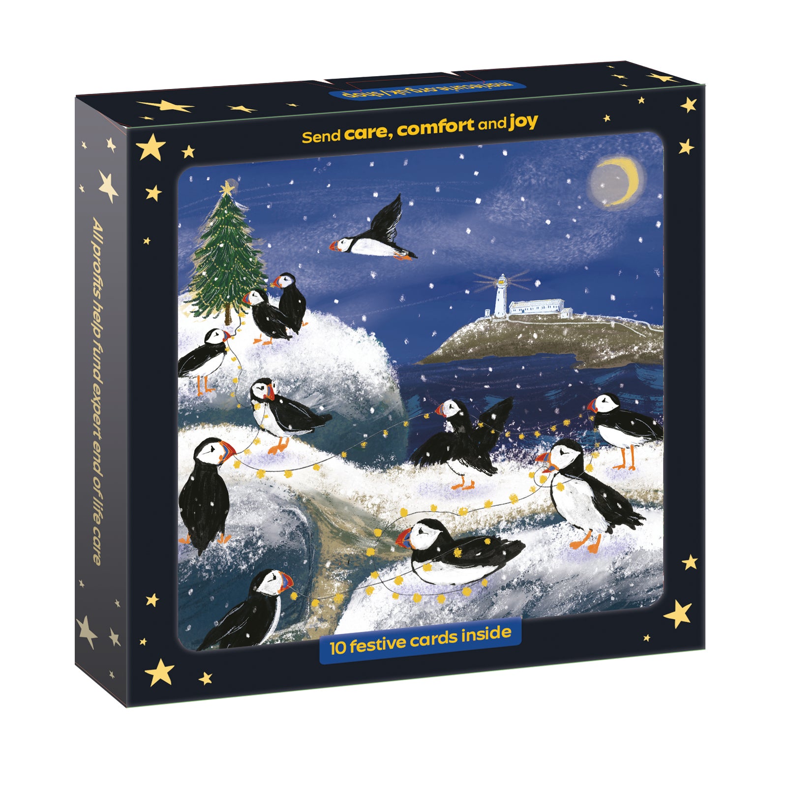 Puffin Island Christmas Cards - 10 Pack