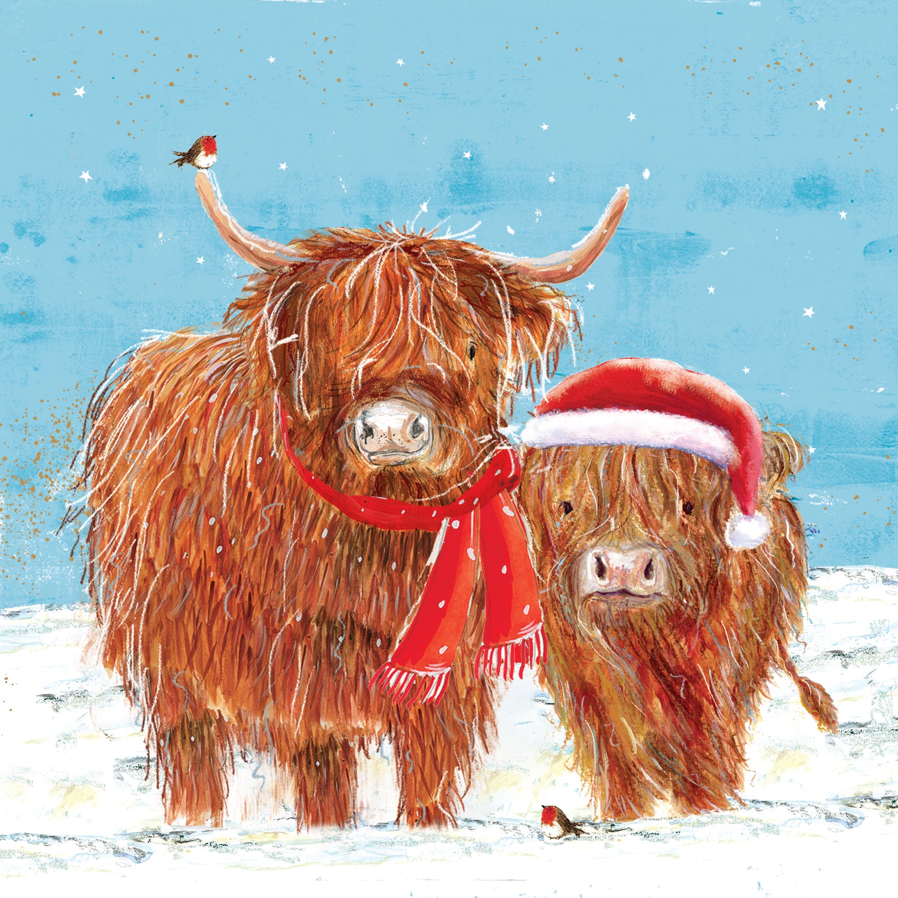 Highland Cows Christmas Cards - 10 Pack