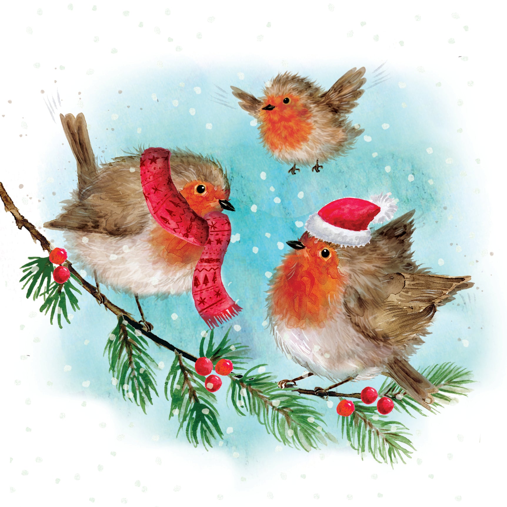 Fluffy Robin Family Christmas Cards - 10 Pack