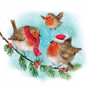 Fluffy Robin Family Christmas Cards - 10 Pack
