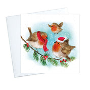 Fluffy Robin Family Christmas Cards - 10 Pack