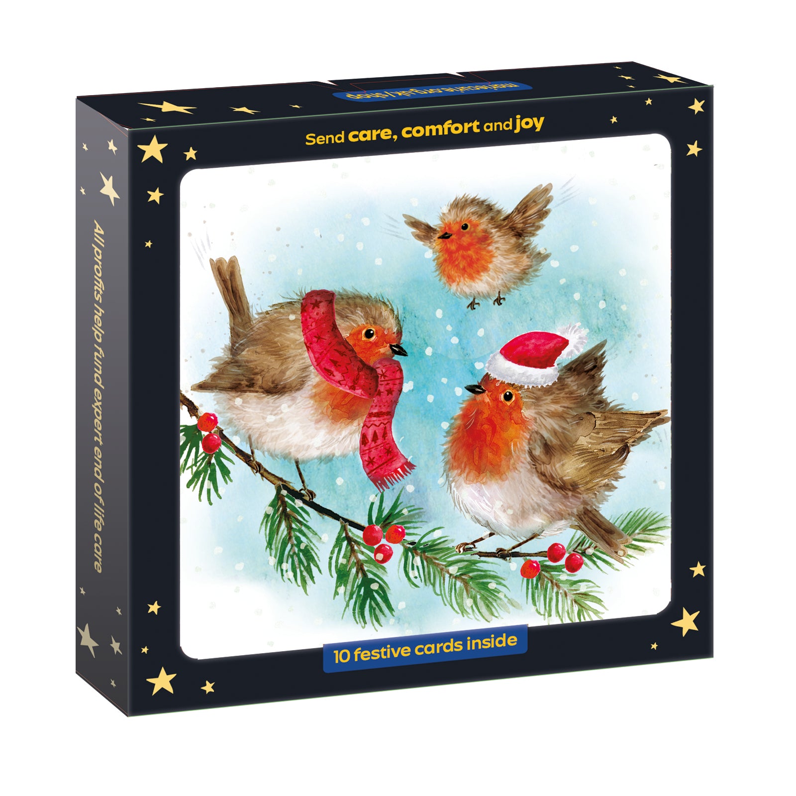 Fluffy Robin Family Christmas Cards - 10 Pack