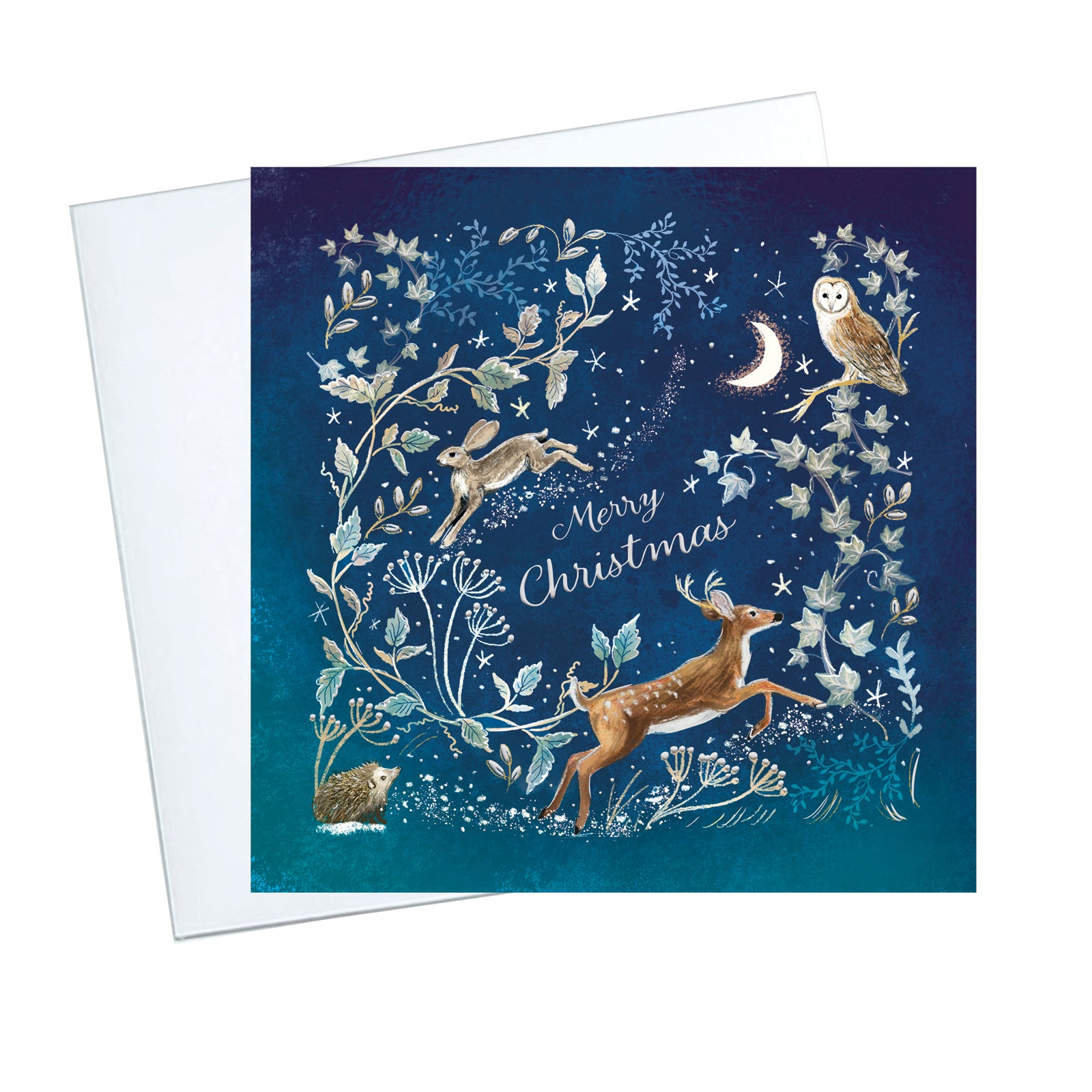 Magical Woodland Christmas Cards - 10 Pack