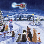 Flying Santa Christmas Cards - 10 Pack