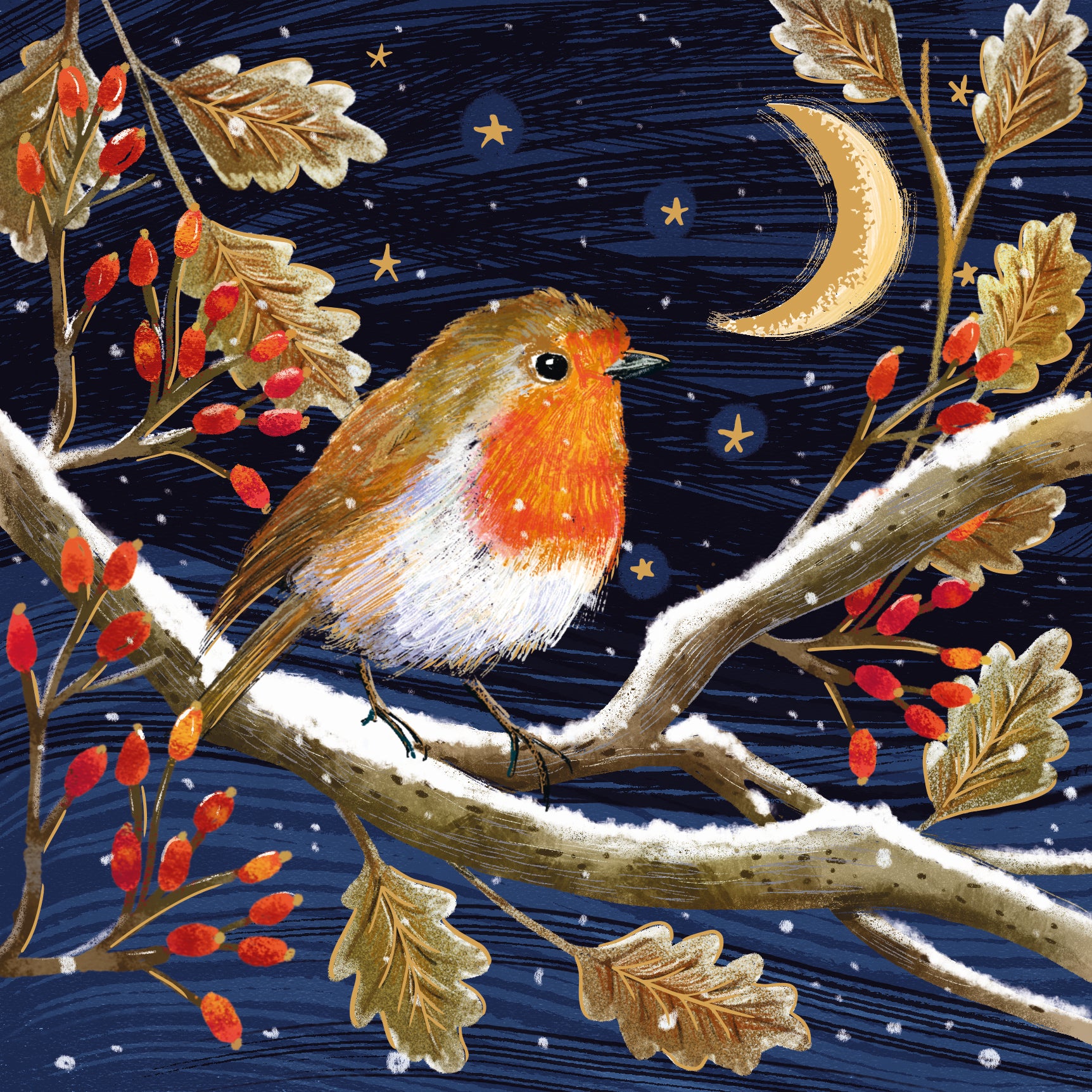 Moon and Robin Christmas Cards - 10 Pack