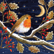 Moon and Robin Christmas Cards - 10 Pack