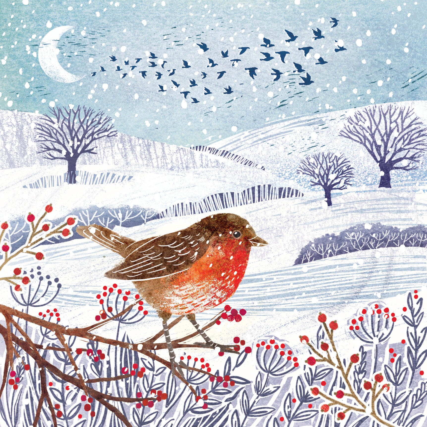 Winter Robin Christmas Cards - 10 Pack