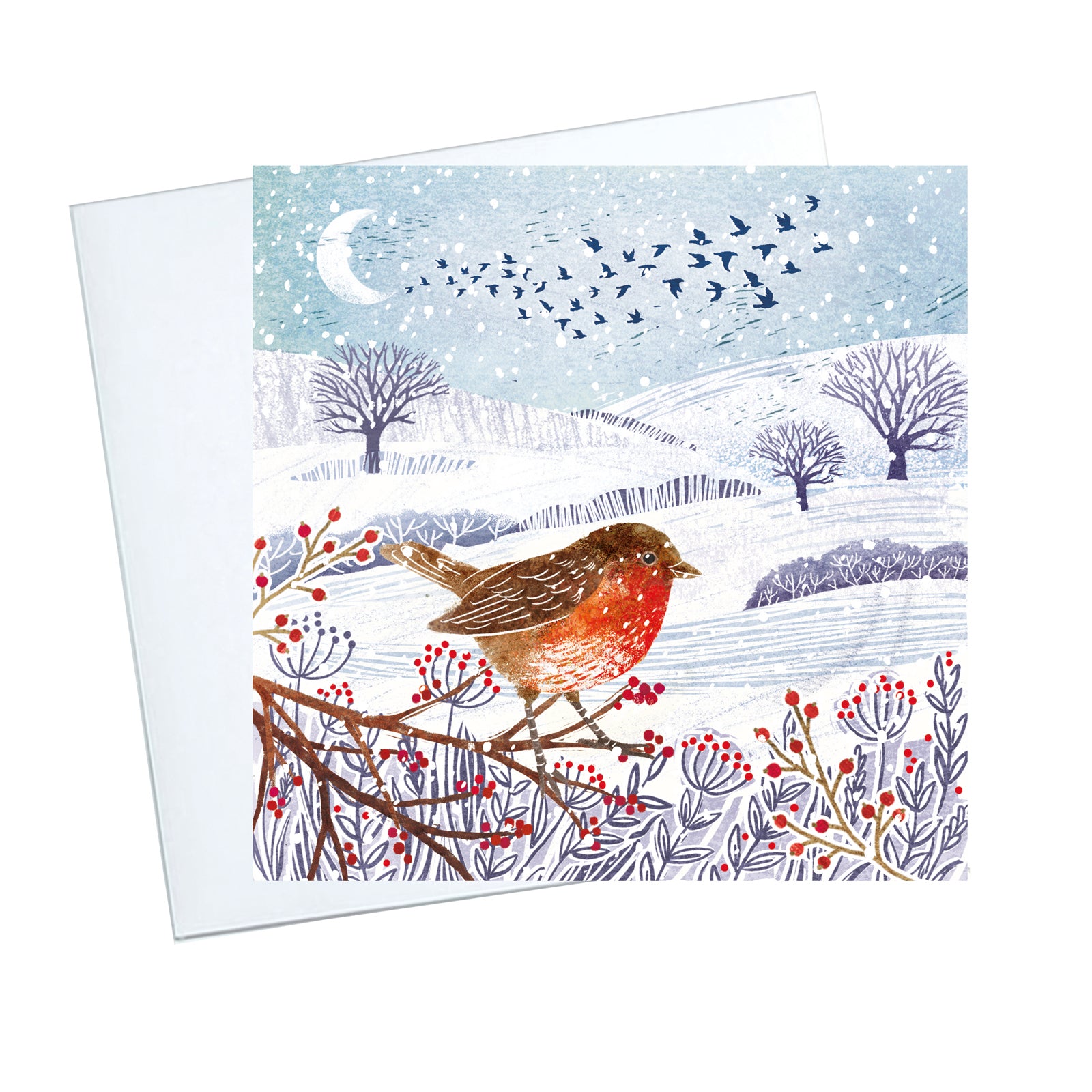 Winter Robin Christmas Cards - 10 Pack
