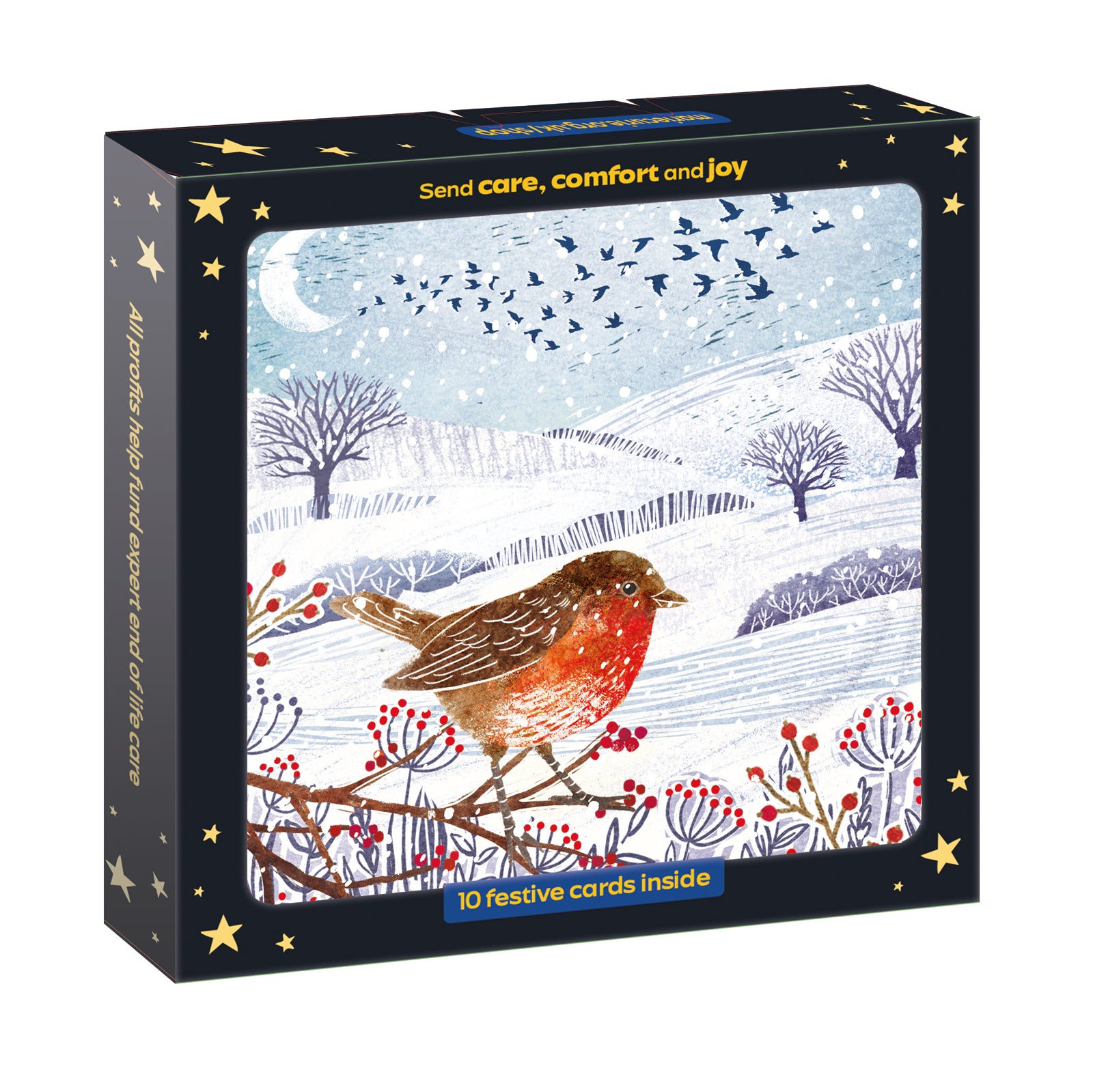 Winter Robin Christmas Cards - 10 Pack