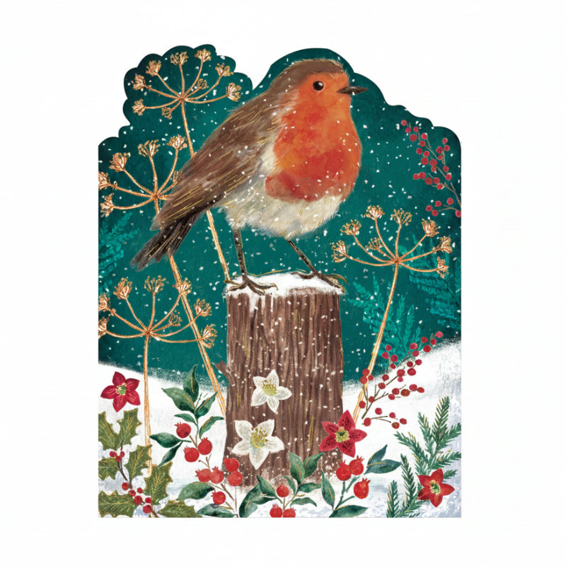 Luxury Robin Christmas Cards - 10 Pack