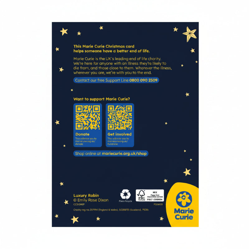 Luxury Robin Christmas Cards - 10 Pack