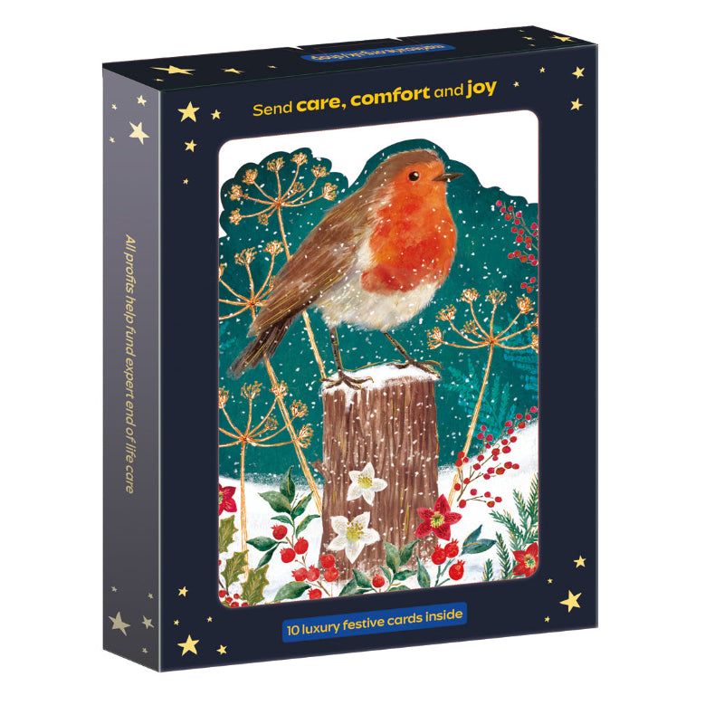 Luxury Robin Christmas Cards - 10 Pack